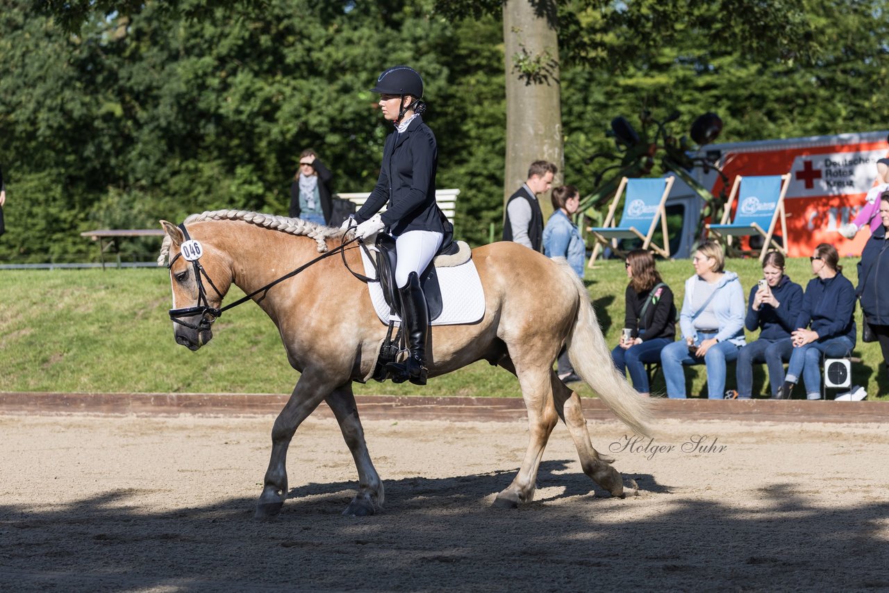 Bild 91 - Pony Akademie Turnier